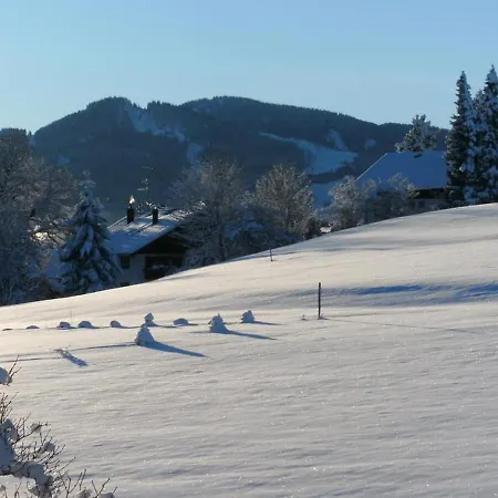 Appartement Klaus Oy-Mittelberg