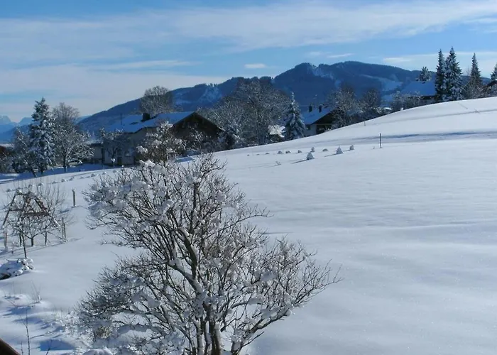 Klaus Appartement Oy-Mittelberg
