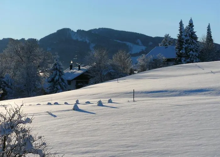 Appartement Klaus Oy-Mittelberg